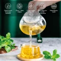 5_Key_points_02_GREEN_MintGT_MintGT_2 PL 1000x1000px.jpg