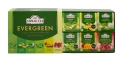 6x10 Evergreen open.jpg