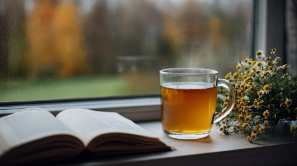 Otwarta książka, kubek z herbatką i pęk rumianku na parapecie